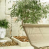 adan-amb-terraza