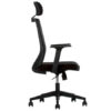 vision-black-lateral