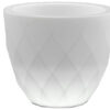 vases-blanca