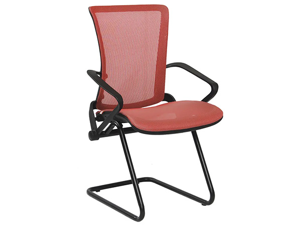 stella-visita-2 stella-visita-2