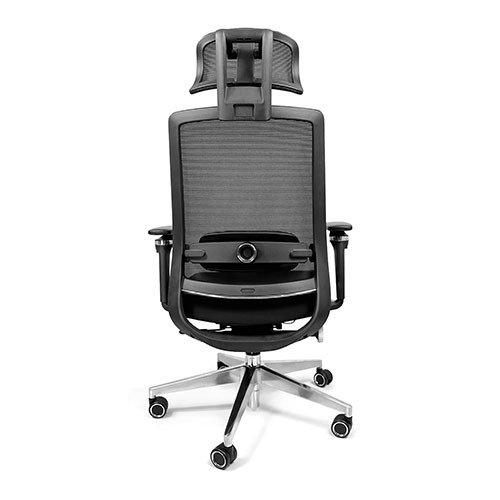 imgi_1_500x500Alfa_0004_LIDO-C-POSTERIOR imgi_1_500x500Alfa_0004_LIDO-C-POSTERIOR